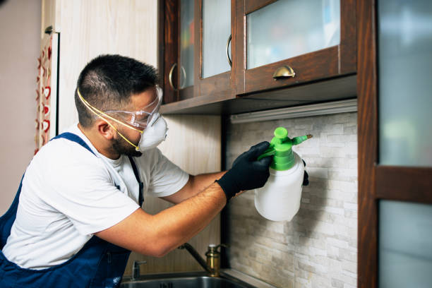 Best Pest Control Near Me  in Sharon Center, OH