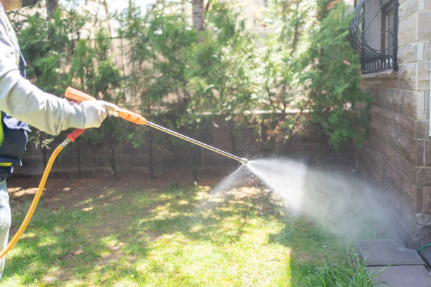 Best Wasp Removal Services  in Sharon Center, OH