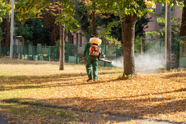 Best Rat Extermination Near Me  in Sharon Center, OH