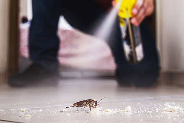 Best Local Pest Control Services  in Sharon Center, OH